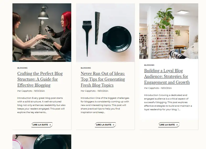 item articles style woocommerce